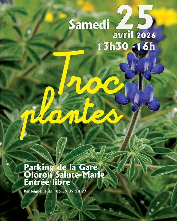 Troc plantes - OLORON-SAINTE-MARIE