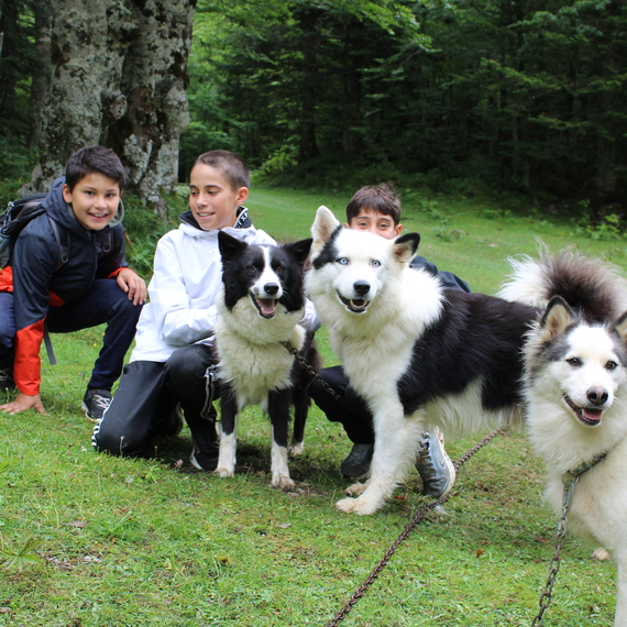Randonner avec un chien nordique à Oloron Sainte-Marie - OLORON-SAINTE-MARIE