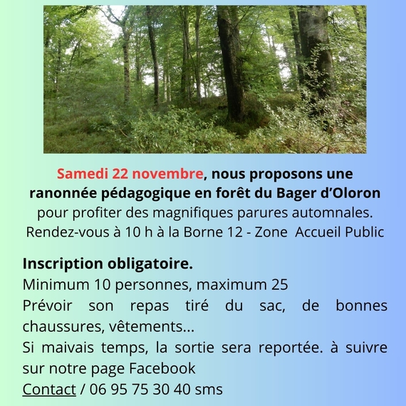 Randonnée pédagogique au Bager - OLORON-SAINTE-MARIE