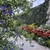 Rendez-vous aux jardins - OLORON-SAINTE-MARIE