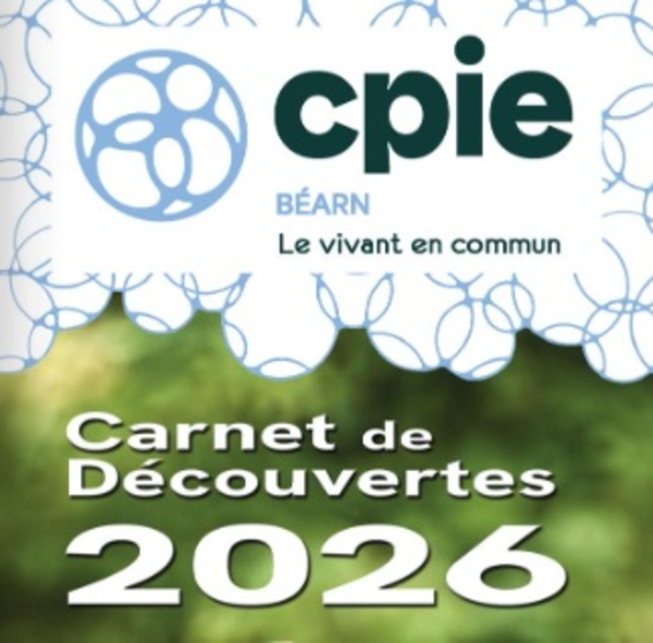 Découverte tri de la laine - Sortie CPIE - ESQUIULE