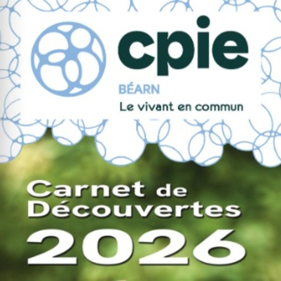 Découverte tri de la laine - Sortie CPIE - ESQUIULE