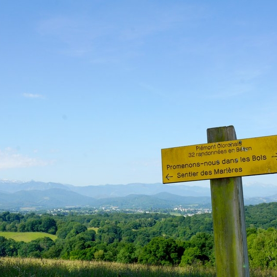 Balade patrimoine : sur la trace des Marlères et des fours à chaux - ESTIALESCQ
