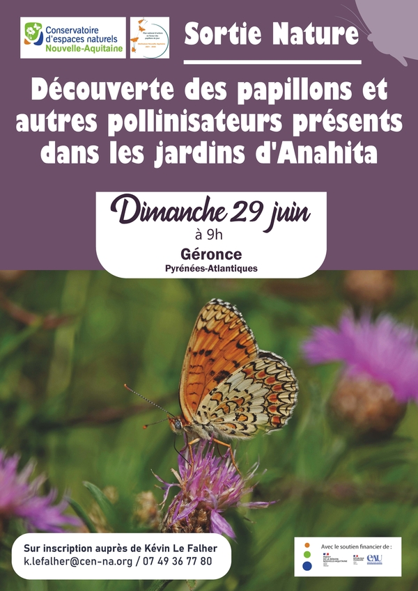 Sortie nature - Découverte des papillons et autres pollinisateurs présents dans les jardins d'Anahita - GERONCE