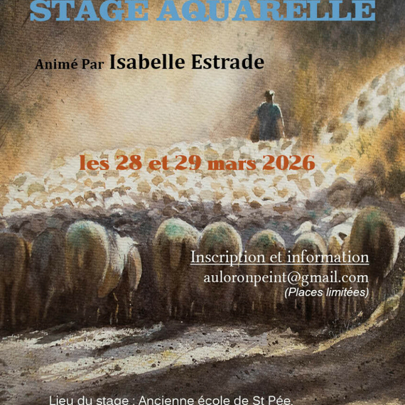 Stage aquarelle - OLORON-SAINTE-MARIE