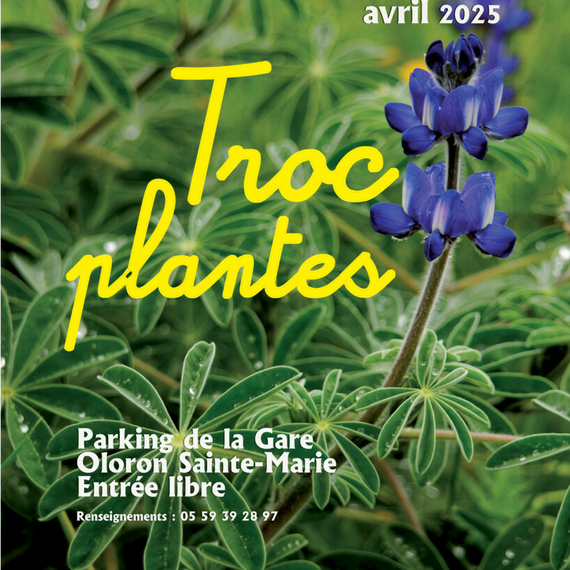 Troc plantes - OLORON-SAINTE-MARIE