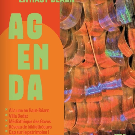 Culture et vous en Haut-Béarn : Exposition "Allegria" - OLORON-SAINTE-MARIE