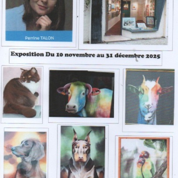 Expositions de Perrine Talon et Jean-Yves Arrieux - OLORON-SAINTE-MARIE