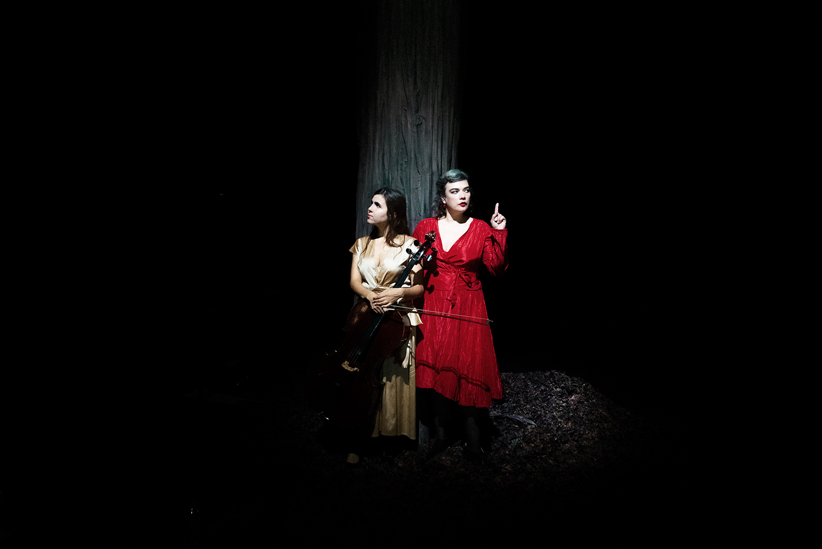 Saison culturelle - Birds on a Wire - Rosemary Standley et Dom La Nena - OLORON-SAINTE-MARIE