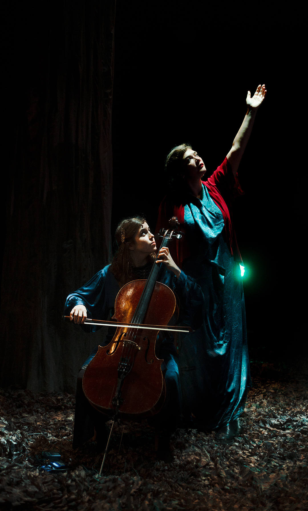Saison culturelle - Birds on a Wire - Rosemary Standley et Dom La Nena - OLORON-SAINTE-MARIE