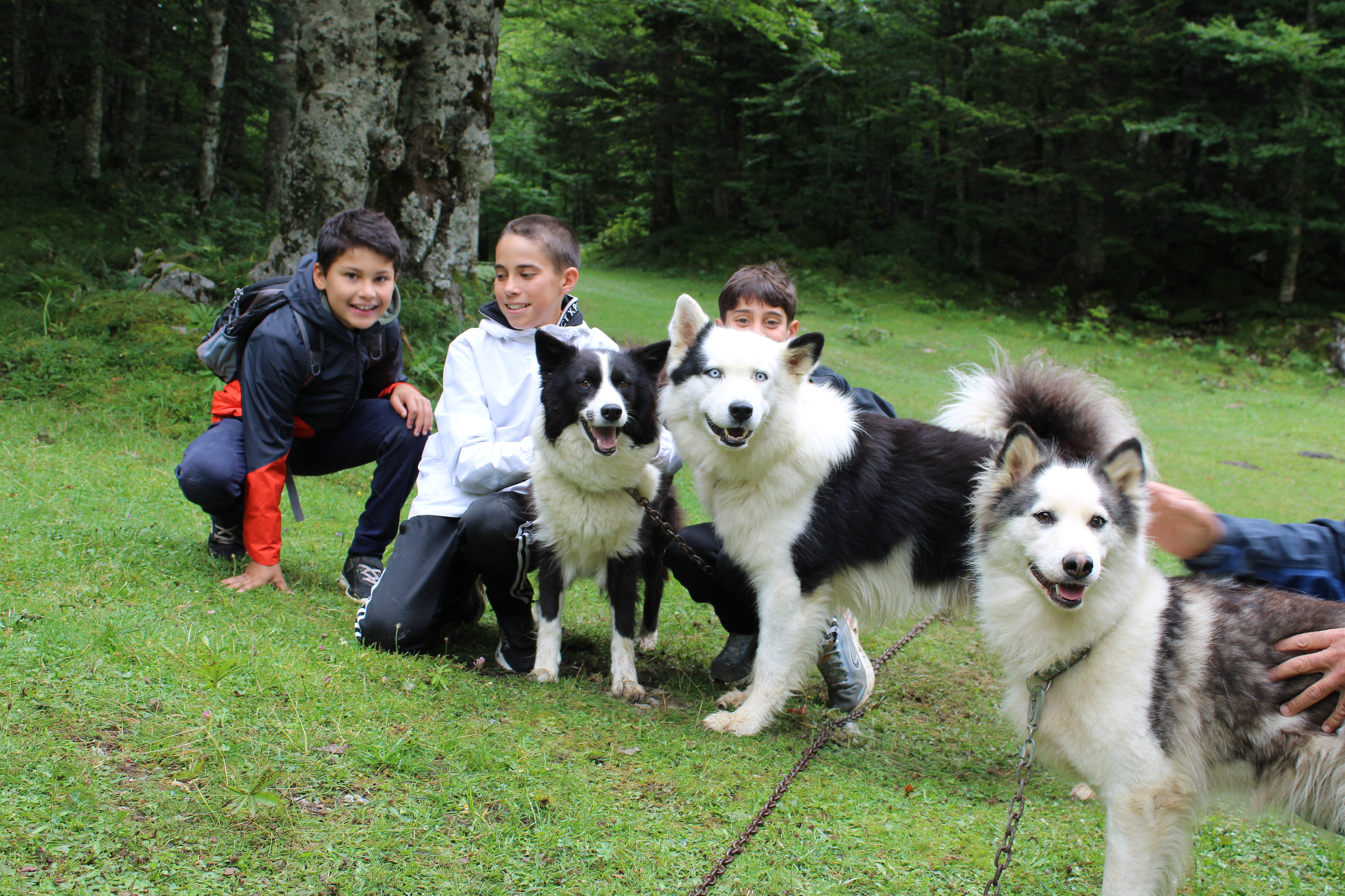 Randonner avec un chien nordique à Oloron Sainte-Marie - OLORON-SAINTE-MARIE