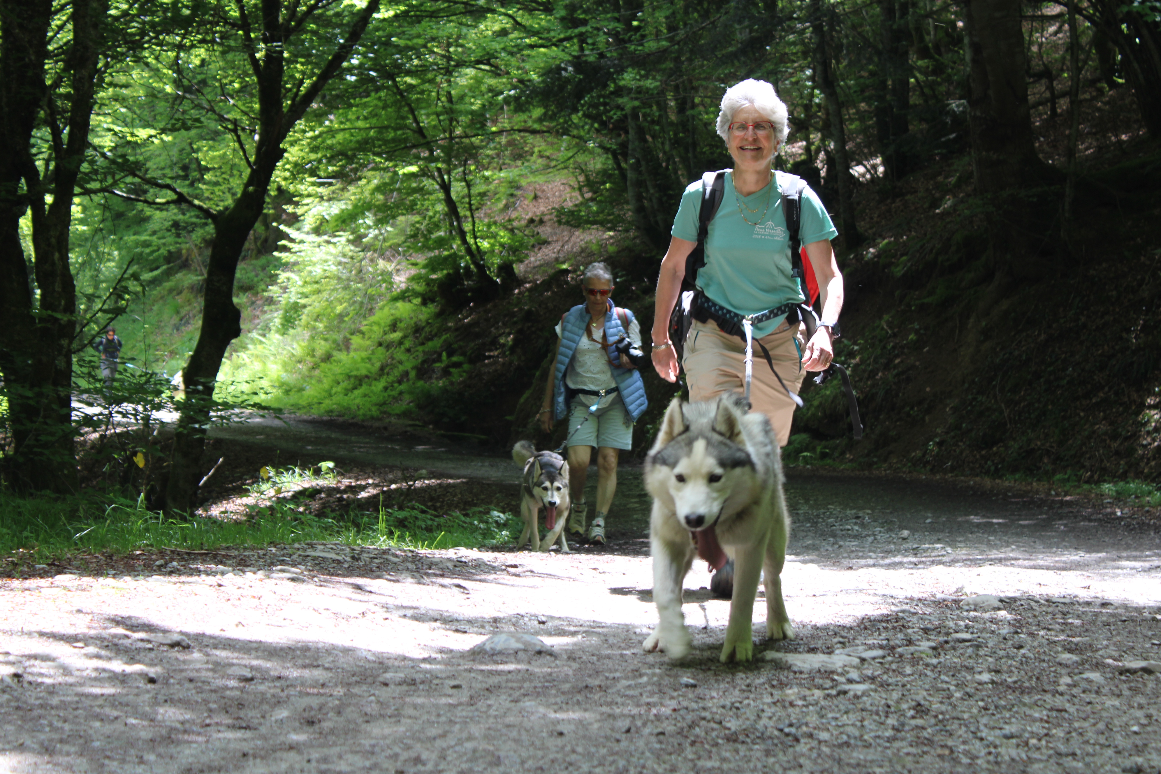 Randonner avec un chien nordique à Oloron Sainte-Marie - OLORON-SAINTE-MARIE