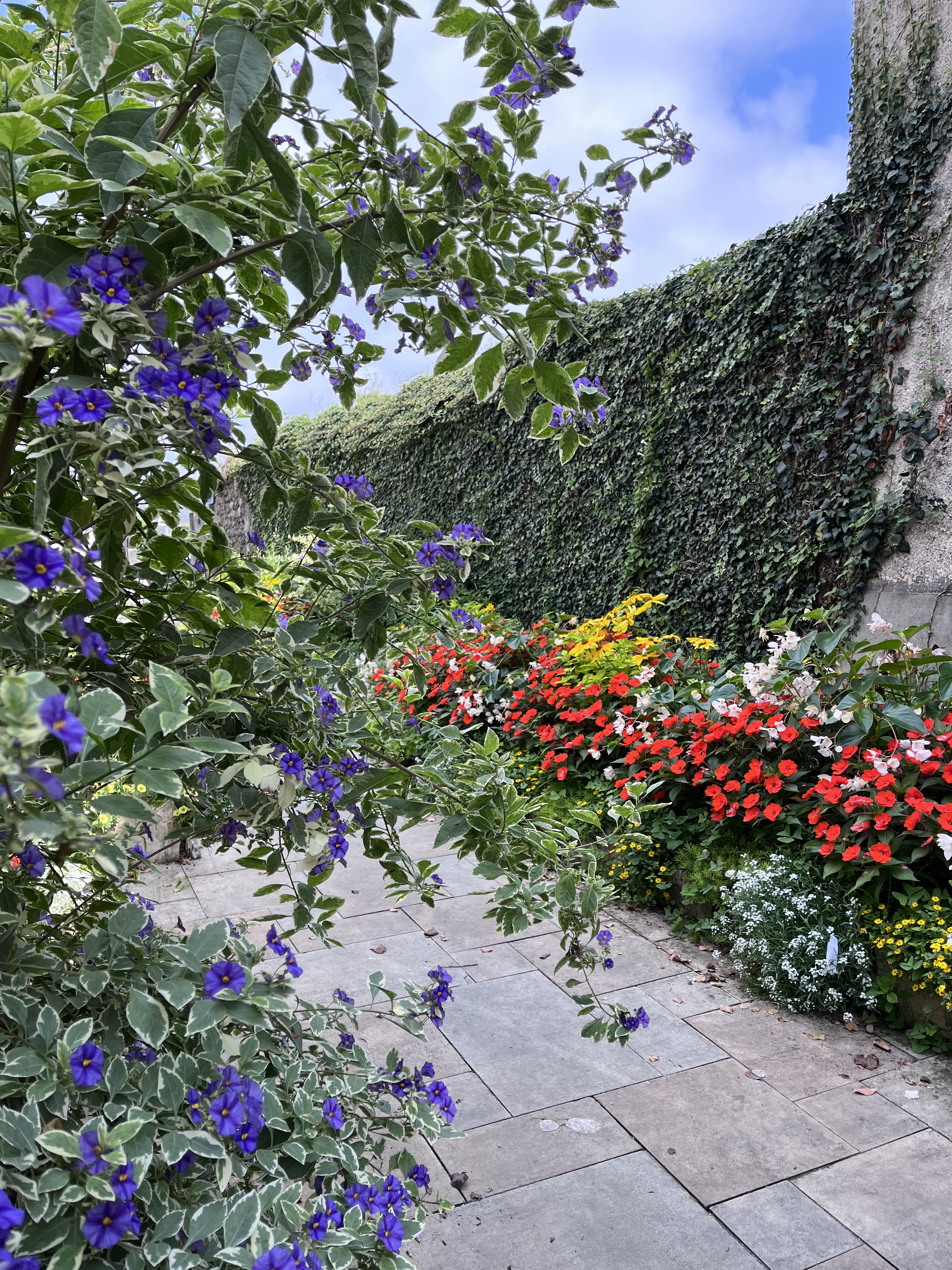 Rendez-vous aux jardins - OLORON-SAINTE-MARIE